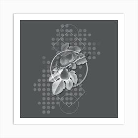 Vintage Fig Botanical with Line Motif and Dot Pattern in Ghost Gray n.0151 Art Print