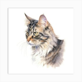 American Wirehair Longhair Cat Portrait Art Print