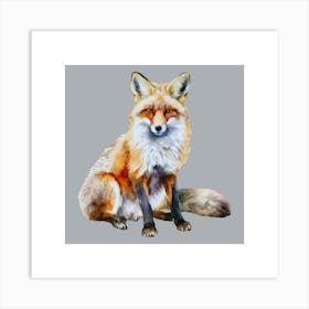 Red Fox Art Print