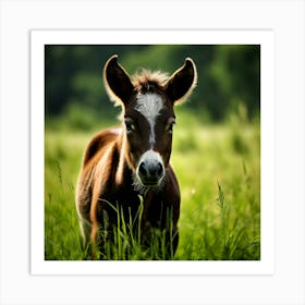 Grass Horse Green Brown Meadow Nature Young Baby Head Mammal Cow Calf Wild Donkey Pony (6) Art Print