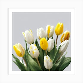 Yellow And White Tulips Art Print