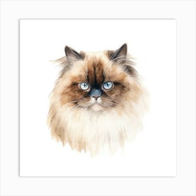 Chocolate Point Himalayan Cat Portrait 2 Art Print