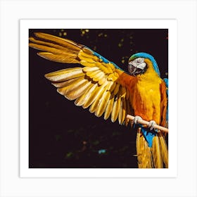 Parrot - Parrot Stock Videos & Royalty-Free Footage Art Print