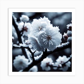 Cherry Blossoms In The Snow 1 Art Print