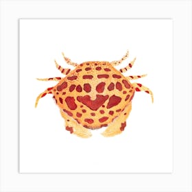 Crab Watercolor 1 Art Print