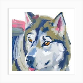 Siberian Husky 03 Art Print