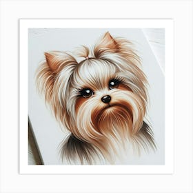 A yorkie female 5 Art Print