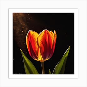 Tulip 2 Art Print