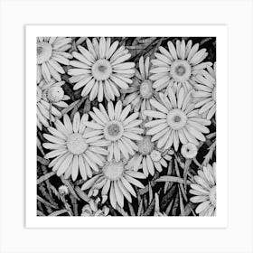 Daisies Art Print