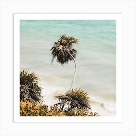 Palm Tree On Beach Square Art Print