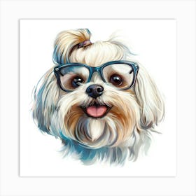 Shih Tzu 12 Art Print