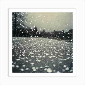 Snowflakes Art Print