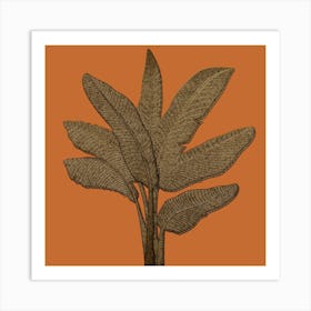 Banana Plant Copper Look Art Print