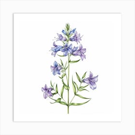 Bluebells 3 Art Print