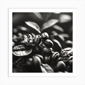 Coffee Beans 52 Art Print