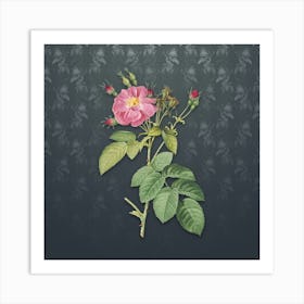 Vintage Harsh Downy Rose Botanical on Slate Gray Pattern n.2135 Art Print