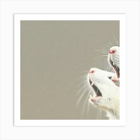 White Lab Rats Art Print