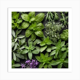 Top View Of Herbs On A Black Background 3 Art Print