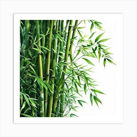 Bamboo Tree Art Print