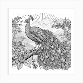 Line Art peacock 1 Art Print