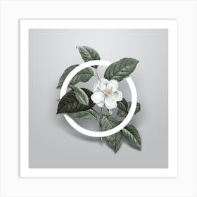 Vintage Stewartia Tree Minimalist Botanical Geometric Circle on Soft Gray n.0143 Art Print