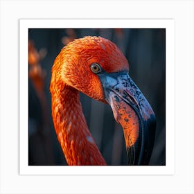 Flamingo 14 Art Print