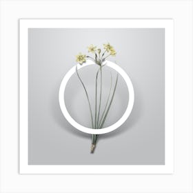 Vintage Rush Daffodil Minimalist Botanical Geometric Circle on Soft Gray Art Print