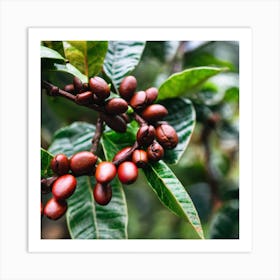 Coffee Beans On A Tree 83 Art Print