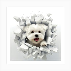 White Dog Through A Hole Art Print