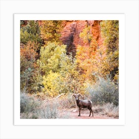 Wildlife With Autumn Leaves Square Art Print