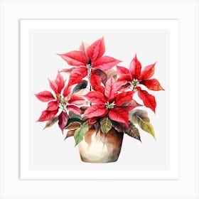 Poinsettia Watercolor Painting Art Print