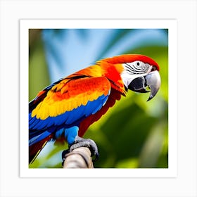 Colorful Parrot 4 Art Print