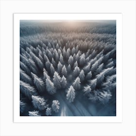 Aerial View Of Snowy Forest 8 Art Print