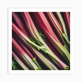 Rhubarb As A Frame Mysterious (2) Art Print