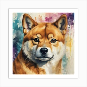 Shiba Inu 52 Art Print