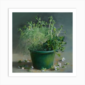 Thyme In A Pot Art Print