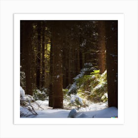 Snowy Forest 1 Art Print