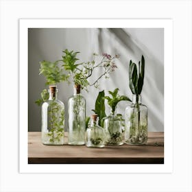 Glass Jars With Plants Art Print