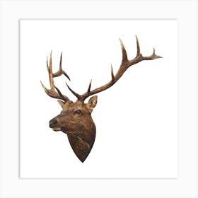 Deer Painting Art Print