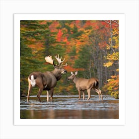 Moose And Deer Art Print