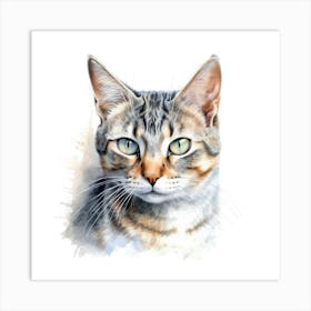 European Shorthair Cat Portrait 3 Art Print