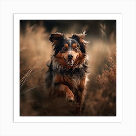 Dog Running In The Grass Art Print