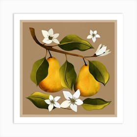 Pears Botanical Art Art Print