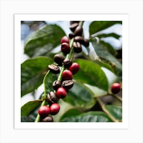 Coffee Beans On A Tree 15 Art Print