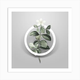 Vintage Gardenia Minimalist Botanical Geometric Circle on Soft Gray n.0039 Art Print