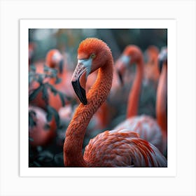 Flamingos 4 Art Print