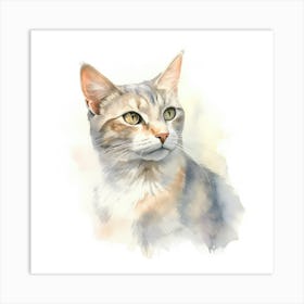 Selkirk Cat Portrait 3 Art Print