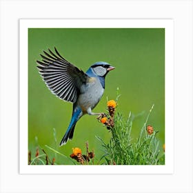 Blue Tit 11 Art Print