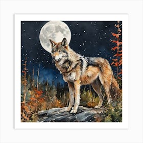 Wolf At Night Art Print