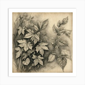 Ivy art Art Print